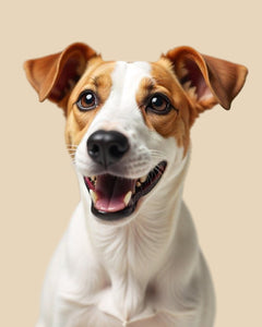 Collection image for: Dog