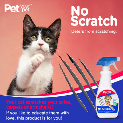No Scratch
