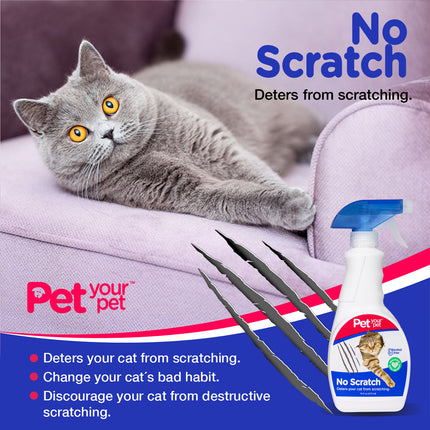 No Scratch