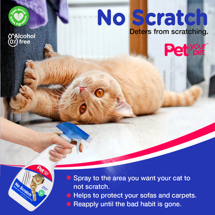 No Scratch